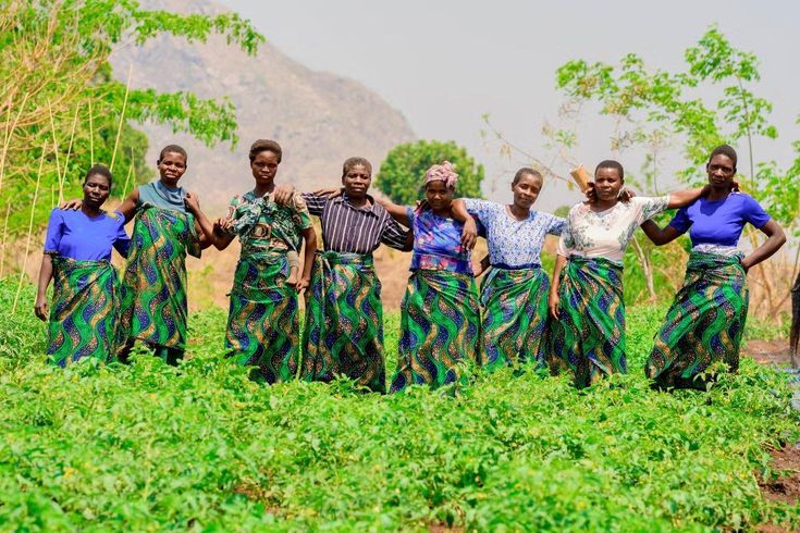 Cooperativa Agro-Esperança