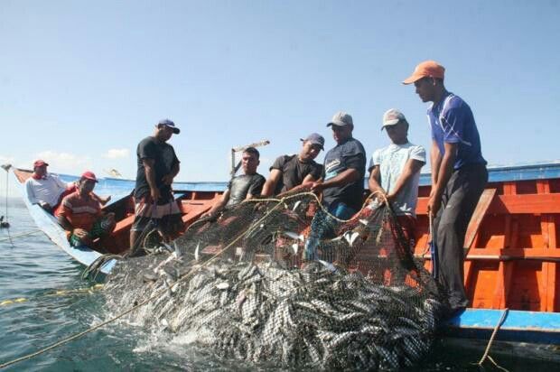 Renovação da Frota de Pesca Artesanal