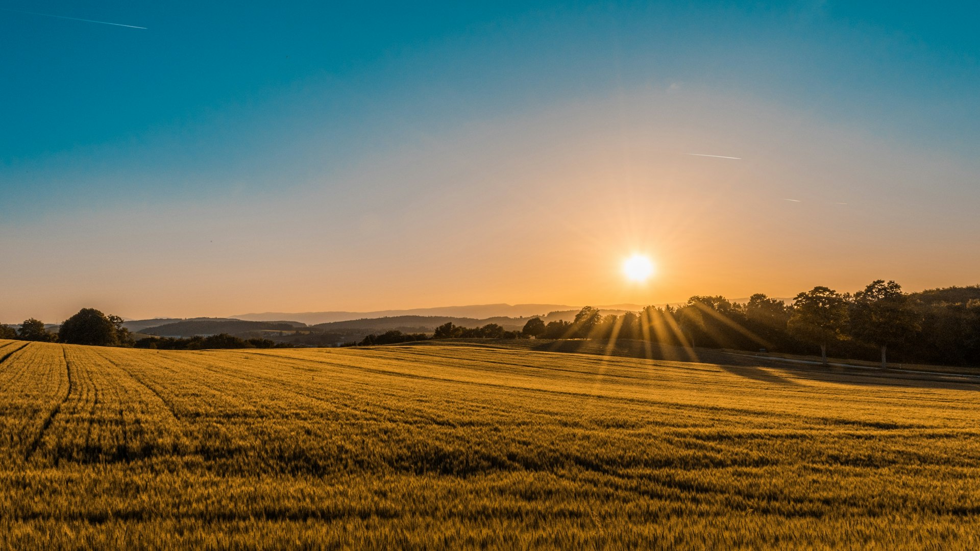 Campos agrícolas ao amanhecer